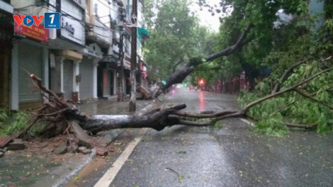 THỜI SỰ 21H30 ĐÊM 6/9/2024: Siêu bão số 3 tên quốc tế là Yagi sẽ vào Vịnh Bắc Bộ đêm nay.