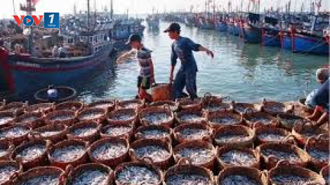 Nâng cao hiệu quả phòng chống khai thác IUU (09/09/2024)