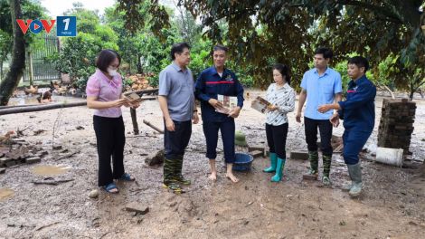 Khôi phục sản xuất nông nghiệp sau bão lũ (16/09/2024)