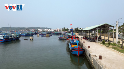 Bình Định nỗ lực chống khai thác IUU (18/09/2024)