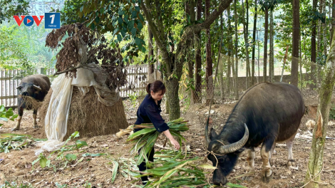 Thanh Thuỷ Phú Thọ: Hỗ trợ vay vốn chính sách cho người hoàn lương (09/09/2024)