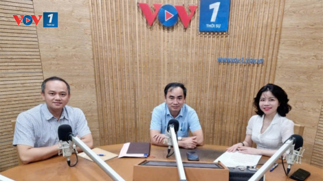Kỹ thuật ghép thận được triển khai tại BV Hà Nội (28/09/2024)