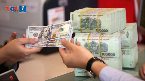 Tỷ giá USD tăng hơn 5% trong năm 2024 (8/1/2025)