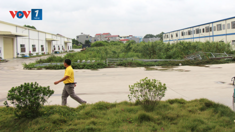 Phỏng vấn ông Phí Thanh Bình, Phó giám đốc Sở Tài nguyên và Môi trường tỉnh Bắc Giang về xử lý các dự án chậm tiến độ (14/01/2025)