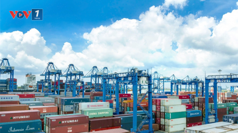 Tàu container ghé nhiều, cảng Bà Rịa – Vũng Tàu khởi sắc (15/1/2024)