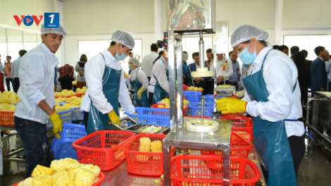 Thu ngân sách của Hà Nội đạt con số ấn tượng vượt 500.000 tỷ đồng (12/1/2025)