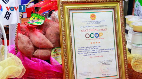 Liên kết chuỗi góp phần phát triển sản phẩm OCOP, thu hút du lịch. (14/01/2025)