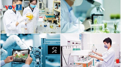 THỜI SỰ 6H SÁNG 03/1/2025:  Các doanh nghiệp lĩnh vực bán dẫn và trí tuệ nhân tạo có thể được Quỹ Hỗ trợ đầu tư quốc gia hỗ trợ 50% chi phí đầu tư ban đầu
