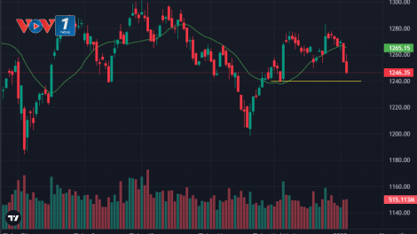 Sắc đỏ áp đảo thị trường, VN-Index lui về mốc 1,246 điểm (07/1/2025)