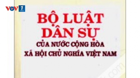 Quốc hội với cử tri ngày 11/12/2014: Những điểm mới trong bộ luật dân sự sửa đổi.