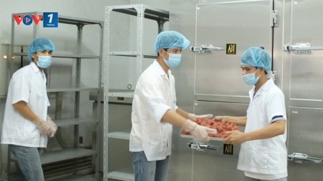 Trung tâm chiếu xạ hoa quả tươi đầu tiên ở miền Bắc đi vào hoạt động. (Thời sự đêm 09/4/2016)