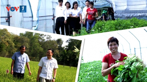 Tất niên với những người đam mê ruộng đồng (24/1/2020)