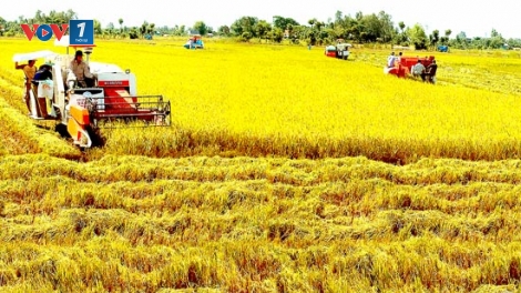 Nông nghiệp Đồng bằng sông Cửu Long: Liên kết để thành công và phát triển. (15/02/2016)