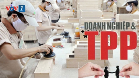 Doanh nghiệp đổi mới khoa học công nghệ để đón cơ hội TPP. (29/02/2016)
