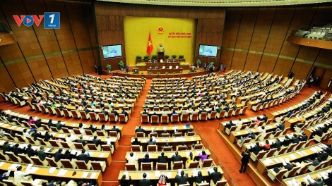 Sự hài lòng của dân. (28/3/2016)