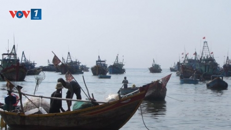 Biển đảo Việt Nam ngày 23/12/2014: "Giã cào bay - Xã hội đen trên biển" ở Bình Thuận.