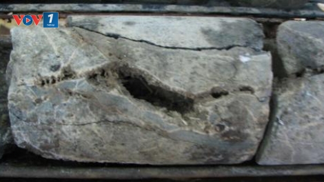 Công nghệ khai thác dầu khí từ đá móng Granitoid Mesozoi.(22/12/2015)