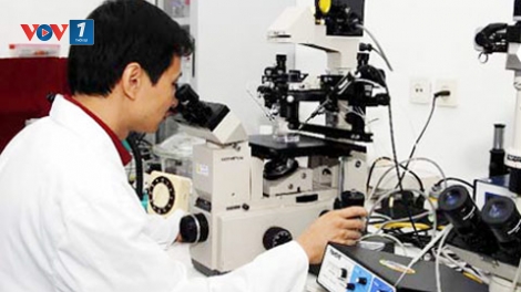 Khoa học và công nghệ giúp nâng cao vị thế của Việt Nam trên trường quốc tế. (29/12/2015)