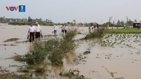 Thời sự đêm ngày 27/3/2015: Nhiều nhà cửa, hoa màu của người dân ở các tỉnh miền Trung bị thiệt hại nặng nề do mưa lũ bất thường giữa mùa khô