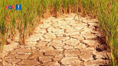 Tập trung hỗ trợ và có giải pháp lâu dài về thủy lợi, trong đó ưu tiên các dự án ứng phó hạn hán và xâm nhập mặn, là một trong những giải pháp được đưa ra tại hội thảo giữa Bộ Nông nghiệp và Phát triển nông thôn với các đối tác phát triển và nhà tài trợ diễn ra chiều nay tại Hà Nội. (Thời sự đêm 15/3/2016)