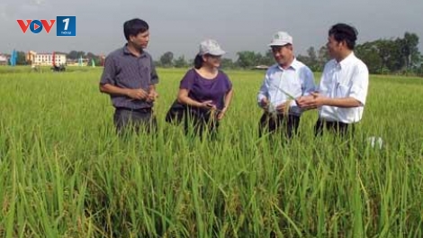 Sinh kế thích ứng với biến đổi khí hậu - nhìn từ những mô hình của tỉnh Thái Bình.(14/4/2016)