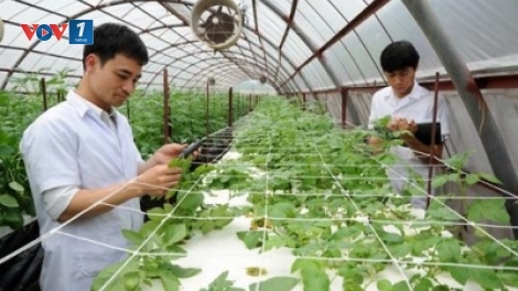 Diễn đàn kinh tế ngày 14/12/2014: Khoa học công nghệ trong nông nghiệp, góc nhìn từ nhà khoa học