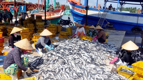 Nghề cá và vấn đề nguồn nhân lực (13/3/2016)