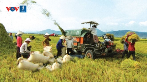 Làm nông bằng trí. (23/2/2016)
