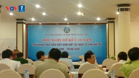 Biển đảo Việt Nam ngày 13/5/2015: Tăng cường hợp tác Việt Nam-Trung Quốc trong Vịnh Bắc bộ