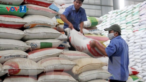 Có gần 815 nghìn người trong cả nước được cấp gạo cứu đói trong dịp Tết Nguyên đán này (Thời sự đêm 20/1/2016)