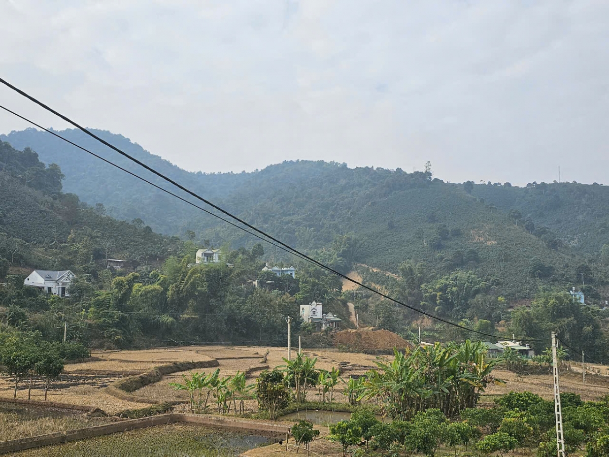 Một góc nông thôn mới Hua La bên những triền đồi cà phê và cây ăn quả xanh tốt