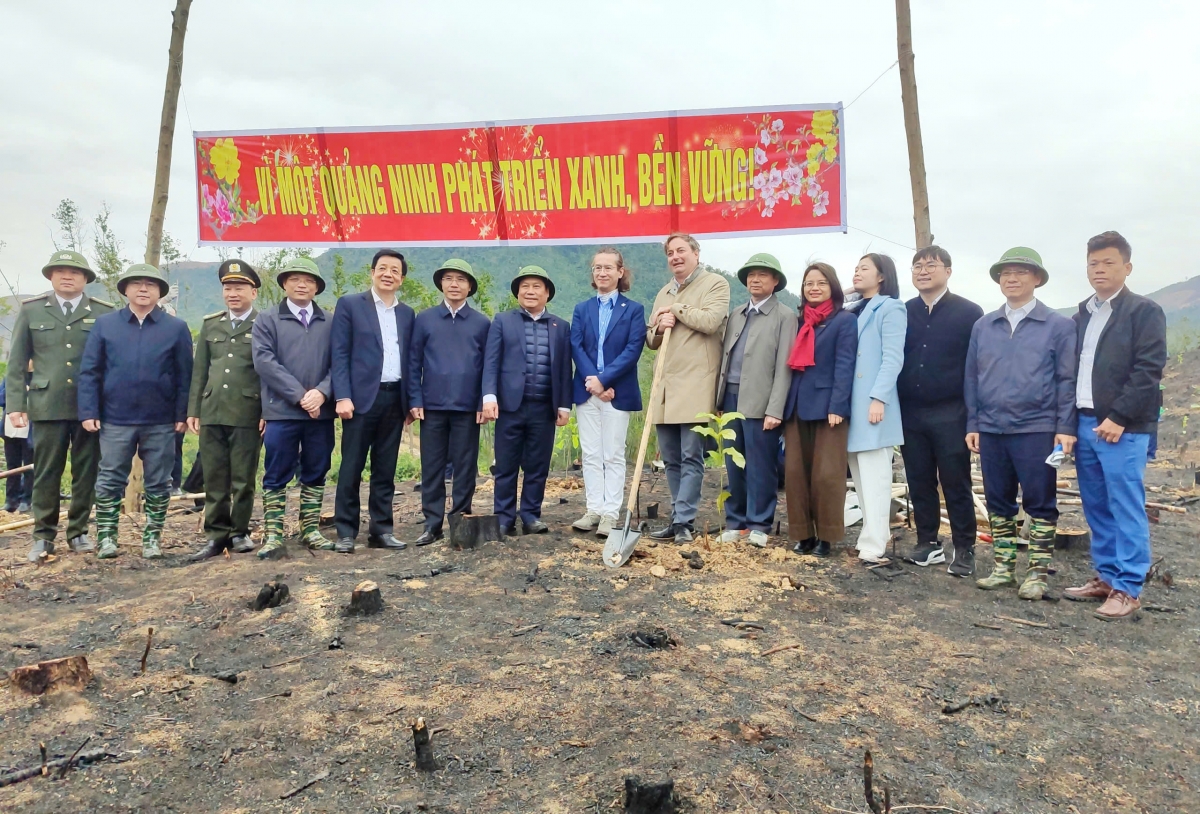 Lãnh đạo tỉnh Quảng Ninh cùng các đại biểu tham gia trồng rừng tại khu vực rừng cộng đồng thôn Đồng Đình, xã Phong Dụ, huyện Tiên Yên
