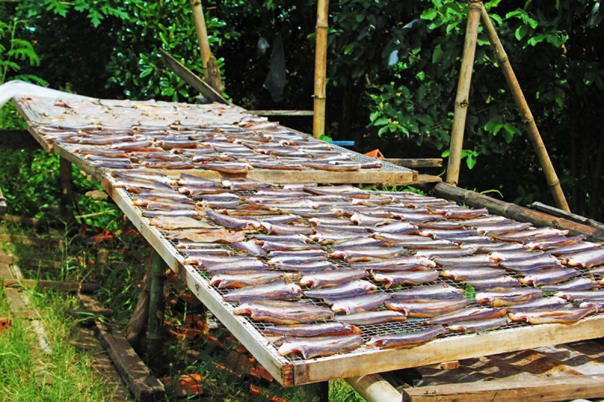 Đồng Tháp thu hồi giấy chứng nhận sản phẩm OCOP đối với 47 sản phẩm (Ảnh minh họa)