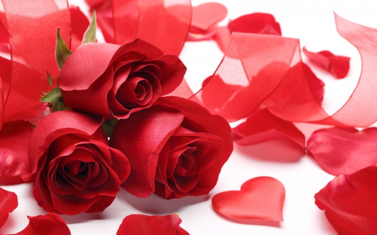 Vì sao người ta thường tặng hoa hồng và socola vào ngày valentine