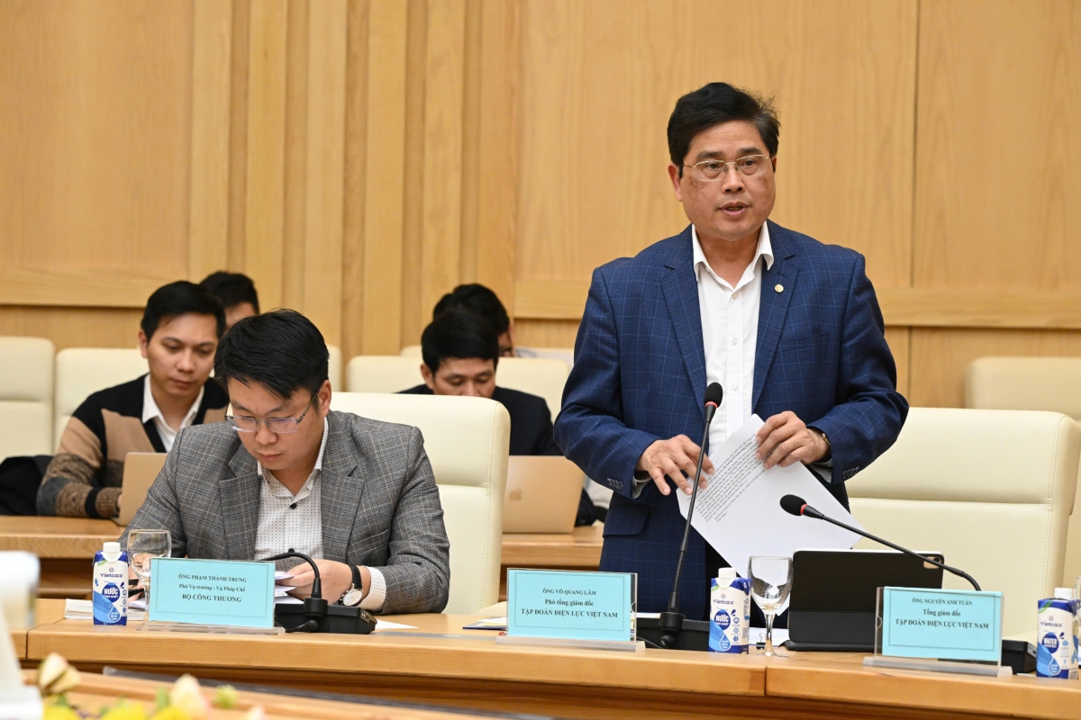 Ông Võ quang Lâm - Phó TGĐ Tập đoàn Điện lực Việt Nam (EVN)