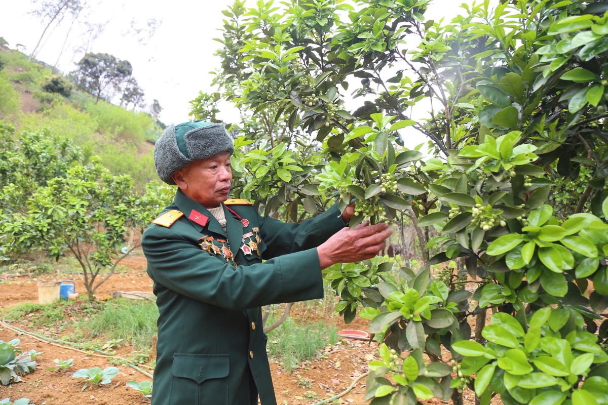 Cựu chiến binh Đoàn Đỉnh Điểu phát huy phẩm chất Bộ đội cụ Hồ
