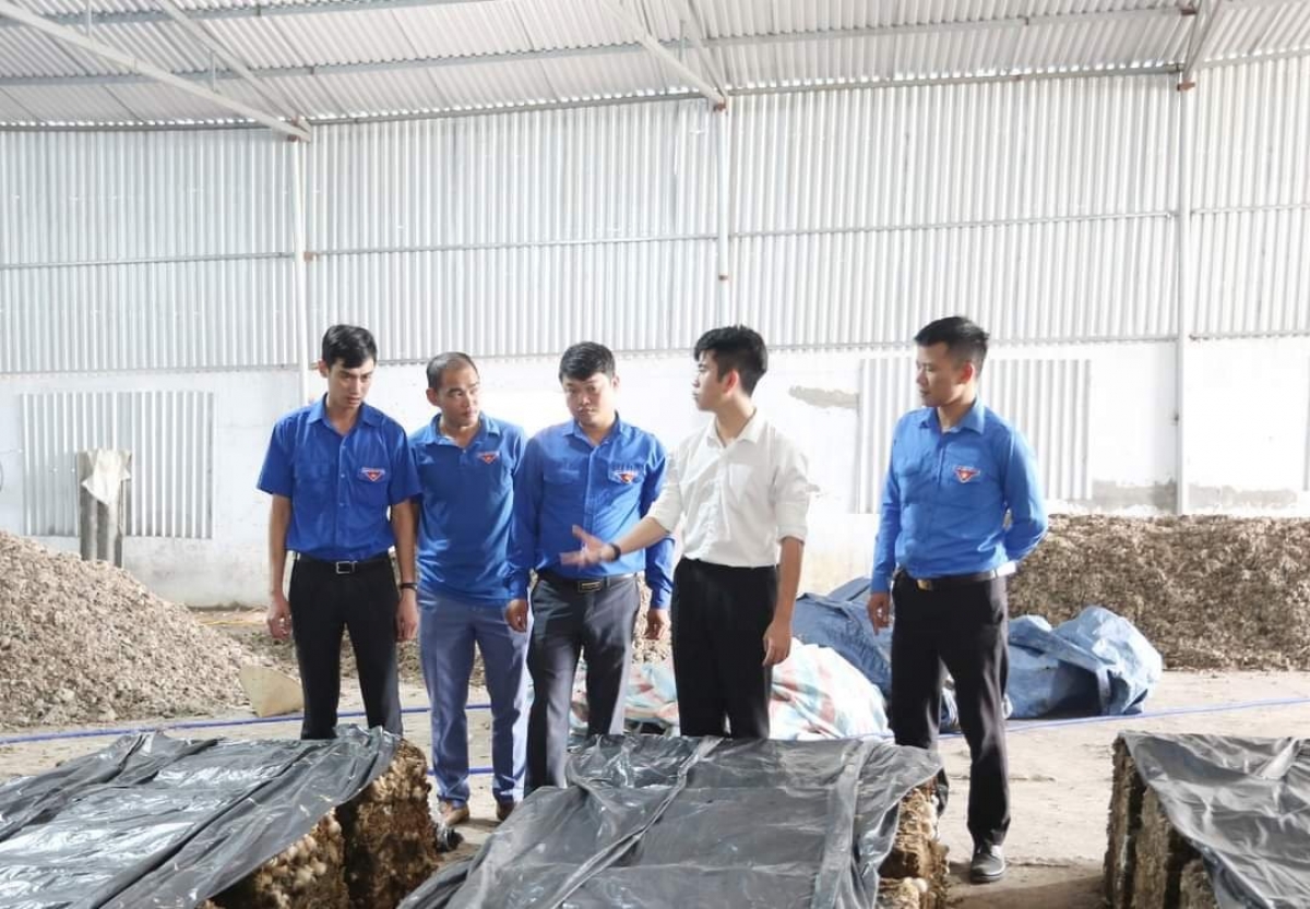 Cán bộ tỉnh đoàn Bắc NInh khảo sát, thẩm tra dự án vay vốn của thanh niên