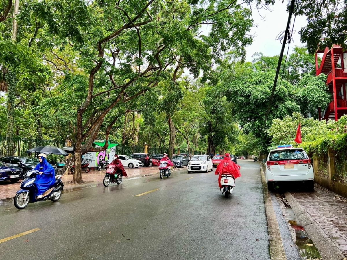 Dự báo thời tiết 15/5: Bắc Bộ, Trung Bộ có mưa, gió nhẹ; Tây Nguyên, Nam Bộ mưa rào.