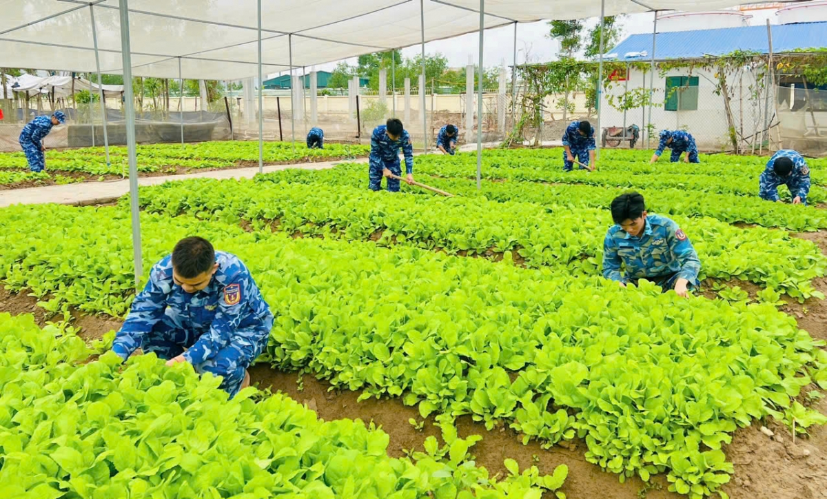 CBCS tăng gia rau xanh sau giờ huấn luyện