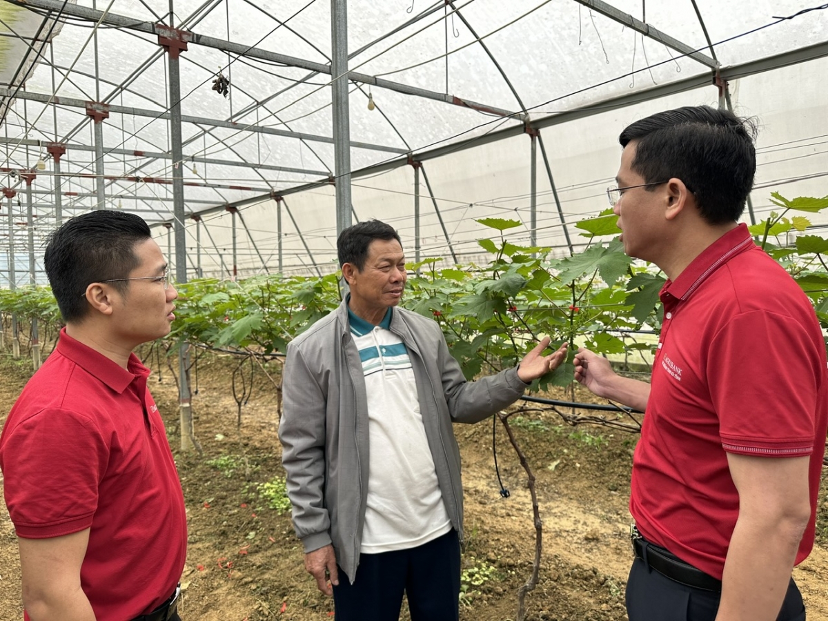 Bảo hiểm Agribank bảo vệ nông dân, vừa bảo vệ nguồn vốn tổ chức tín dụng.