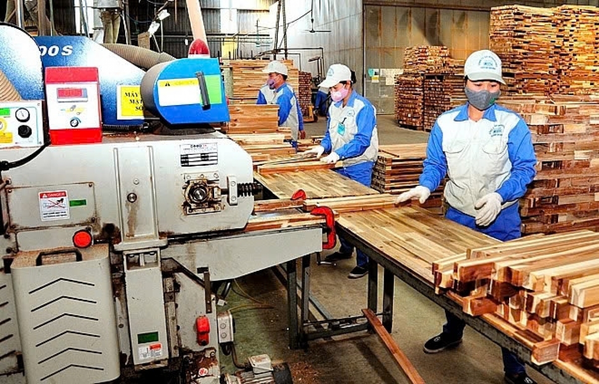 Ảnh: Công nhân tham gia chế biến gỗ (Nguồn: Internet)