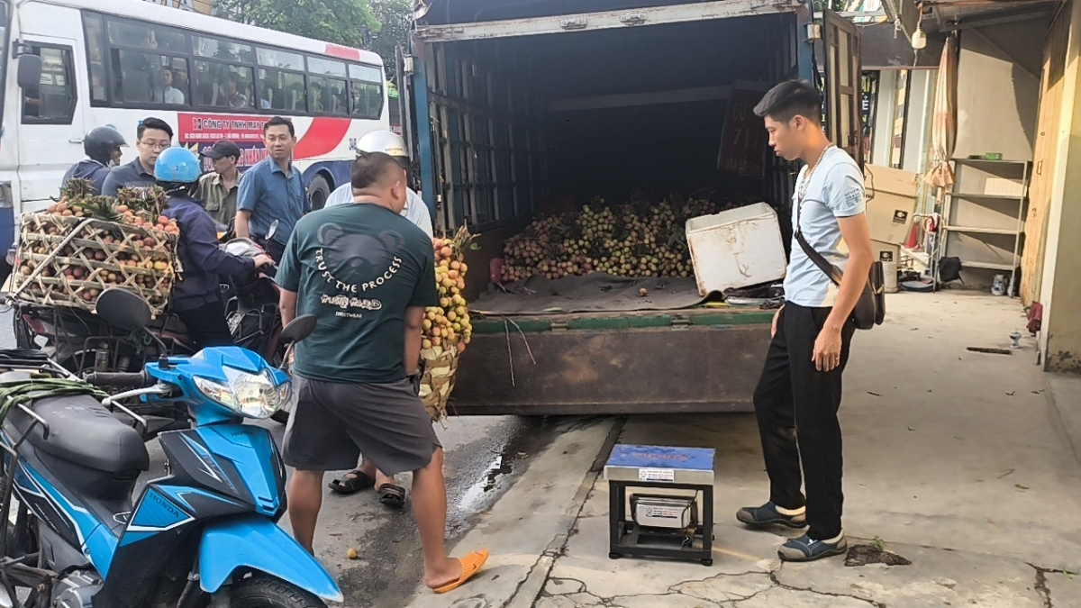 Giá vải sớm năm nay khá cao