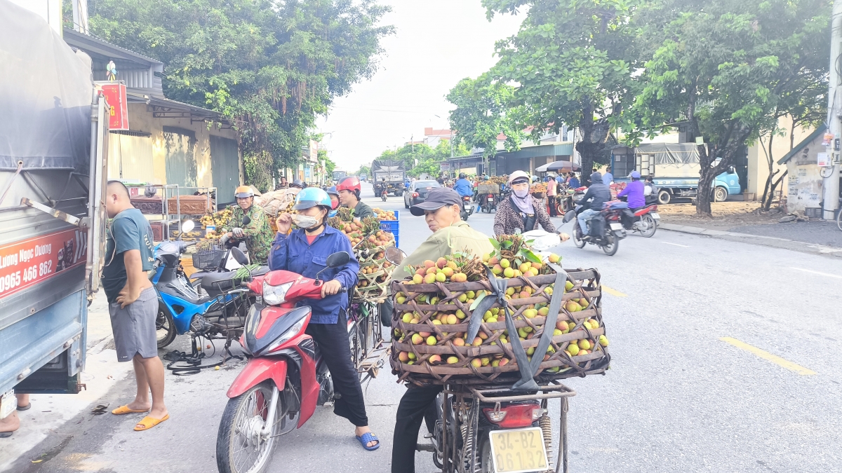 Nông dân bán vải sớm
