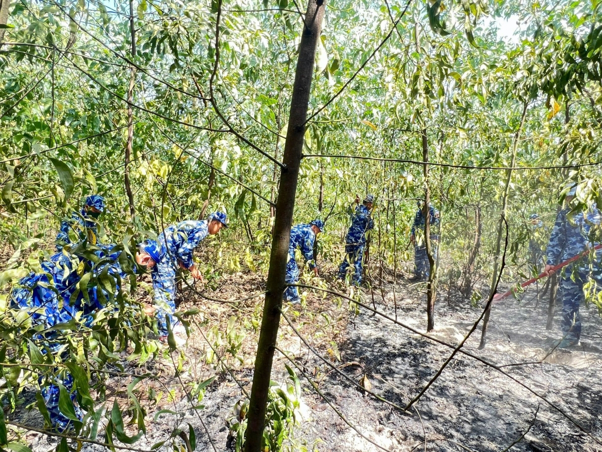 Cán bộ chiến sĩ Hải đội 202 tham gia chữa cháy rừng tràm phòng hộ tại xã Triệu Cơ (Quảng Trị)
 
Do thời tiết khô nóng, gió thổi mạnh nên đám cháy lan nhanh gây nhiều khó khăn trong việc tiếp cận hiện trường. Để đám cháy không tiếp tục bùng phát lan rộng thêm, các lực lượng đã tích cực dùng cuốc, xẻng, xô,thùng và các phương tiện, dụng cụ hiện có để dập tắt đám cháy. 