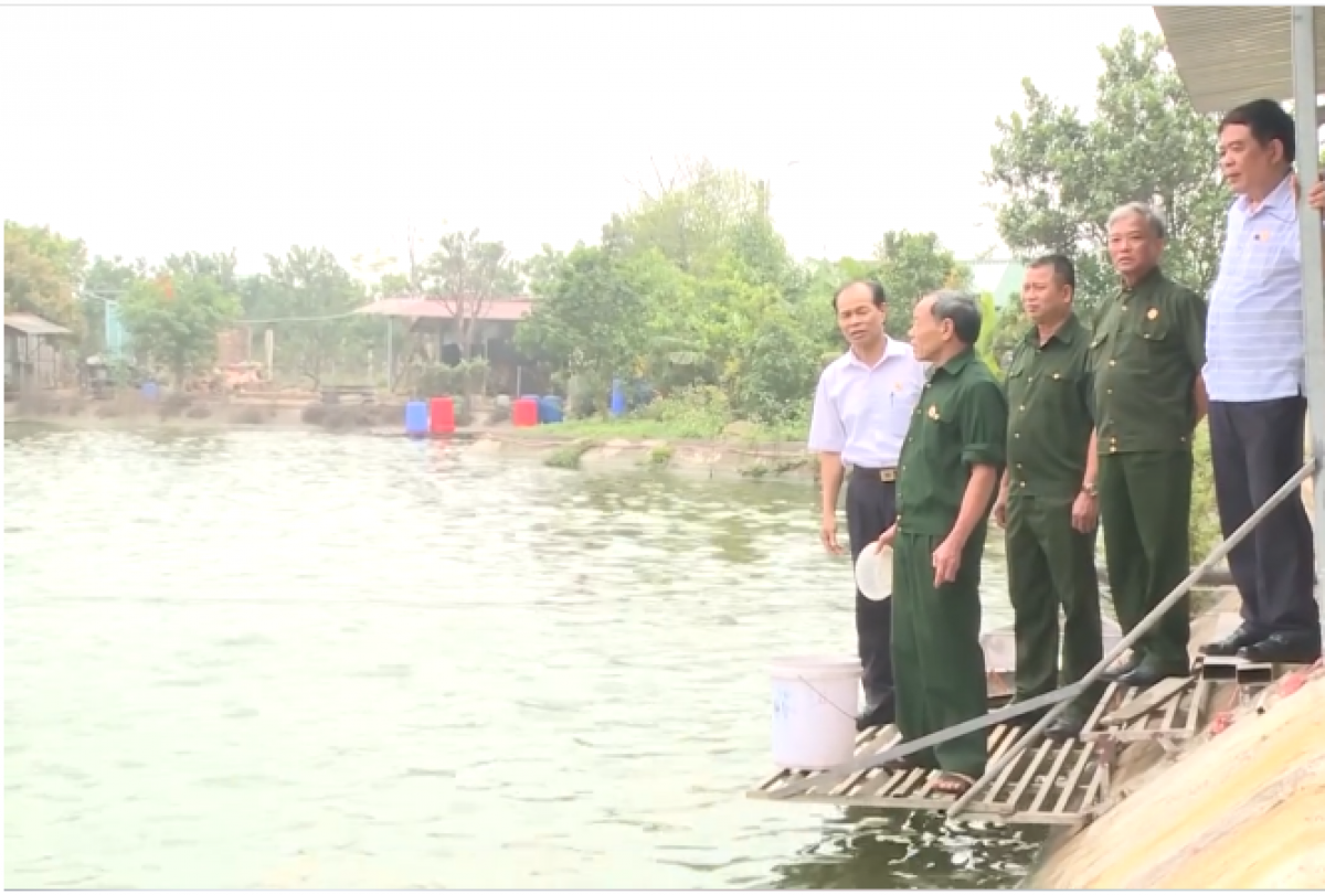 Các cựu chiến binh thăm mô hình VAC của ông Nguyễn Văn Thời