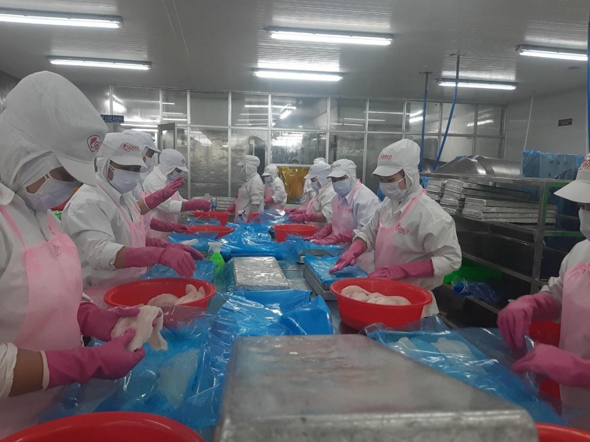 Tiền Giang có nhiều nhà máy chế biến thủy sản xuất khẩu có quy mô lớn