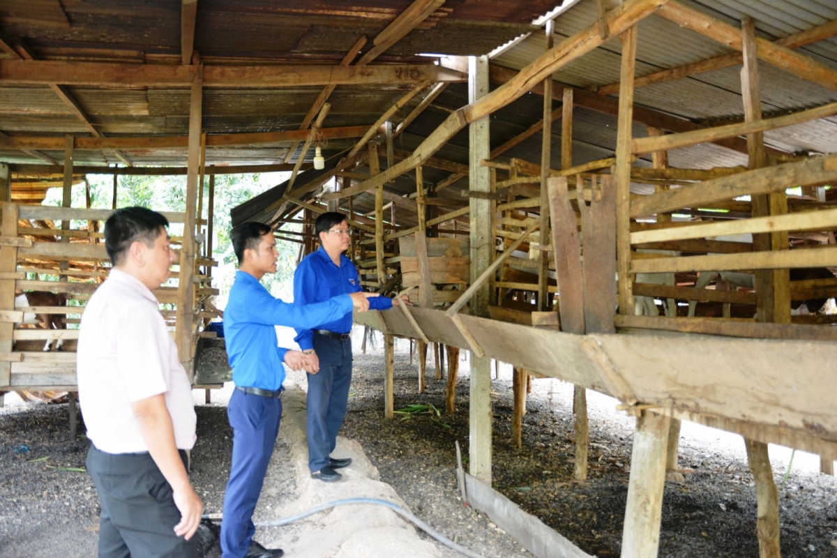 Báo Tây Ninh