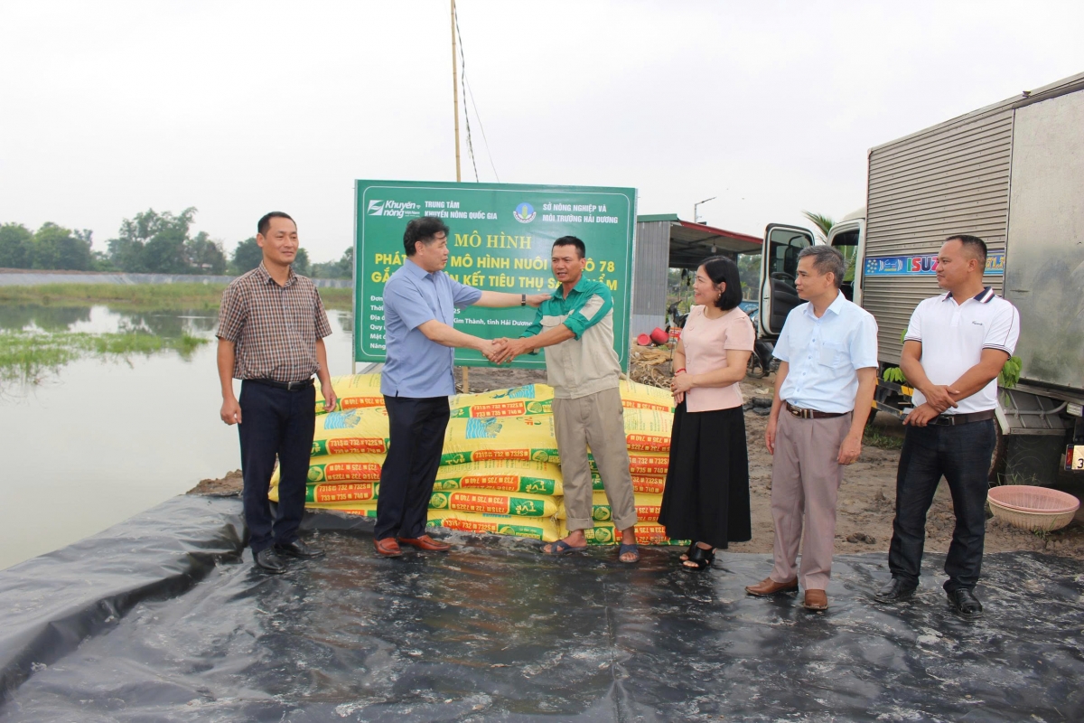 Trung tâm khuyến nông quốc gia chuyển giao giống cá rô 78 mới