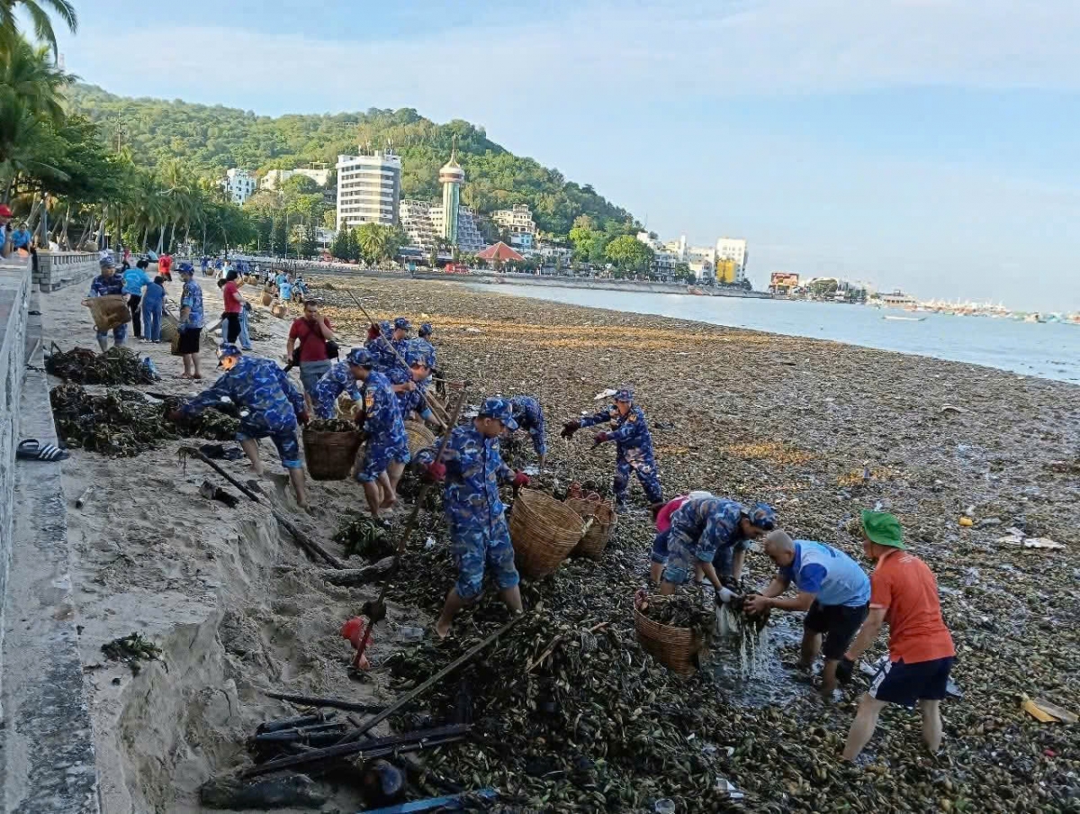 Cán bộ, chiến sĩ Trung đoàn 251 chung tay bảo vệ môi trường bãi biển Vũng Tàu