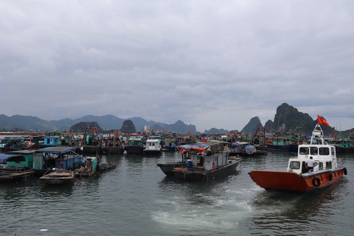 Ban Chỉ huy Phòng, chống thiên tai, tìm kiếm cứu nạn và Phòng thủ dân sự tỉnh Quảng Ninh yêu cầu các địa phương, đơn vị liên quan chủ động triển khai các biện pháp ứng phó bão số 1, không được chủ quan, lơ là